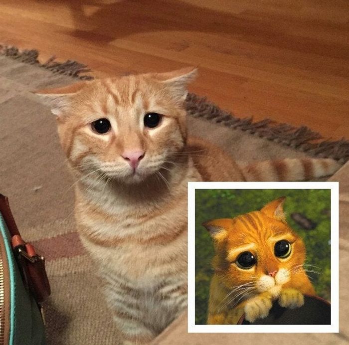 20 fotos que vão aquecer até o coração mais frio 20