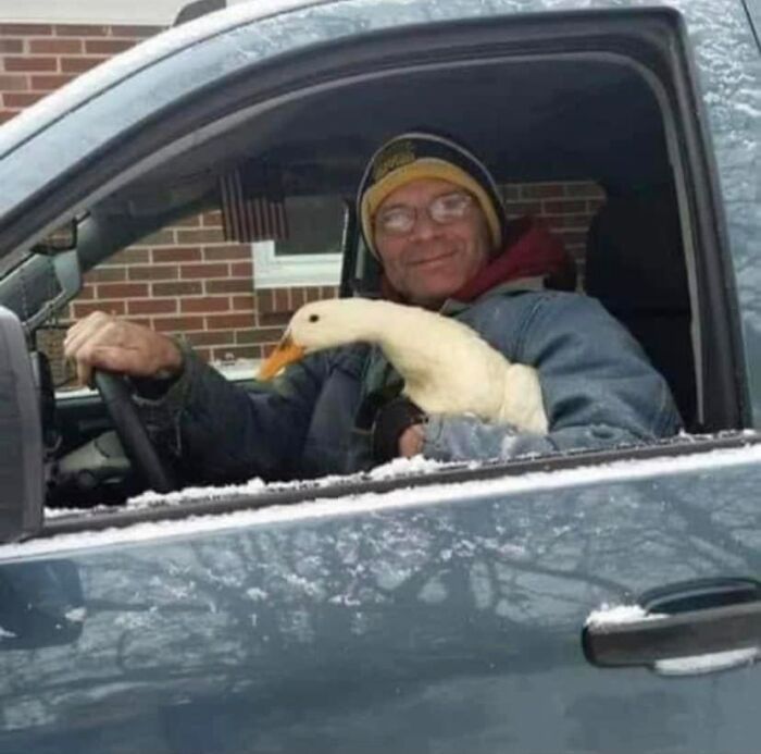 Humanos fazendo coisas humanas (45 Fotos) 9