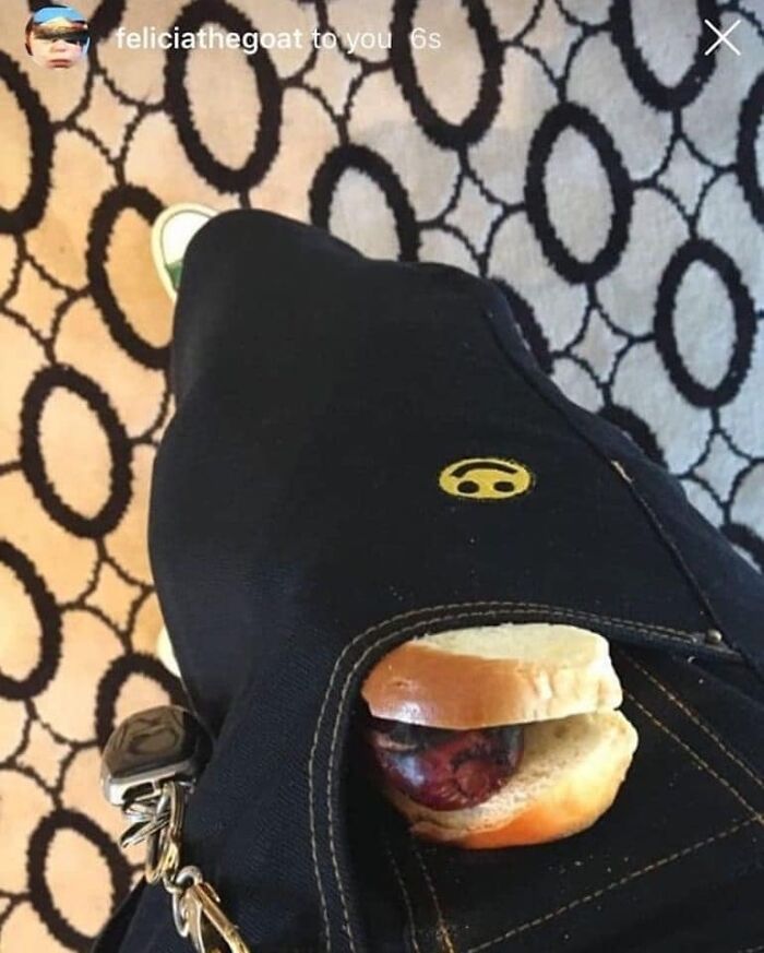 Humanos fazendo coisas humanas (45 Fotos) 16