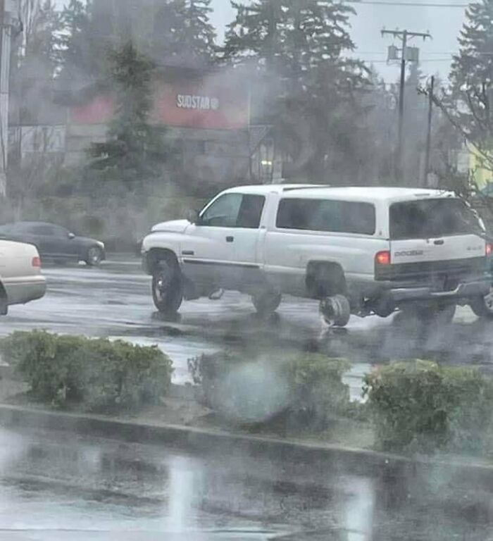 Humanos fazendo coisas humanas (45 Fotos) 18