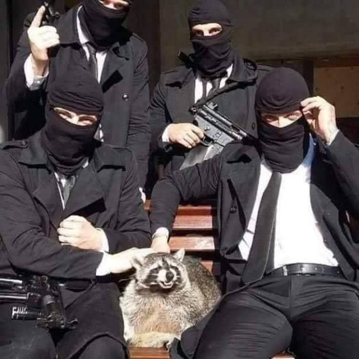 Humanos fazendo coisas humanas (45 Fotos) 27