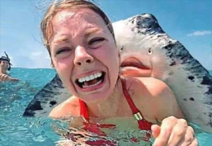 Humanos fazendo coisas humanas (45 Fotos) 30