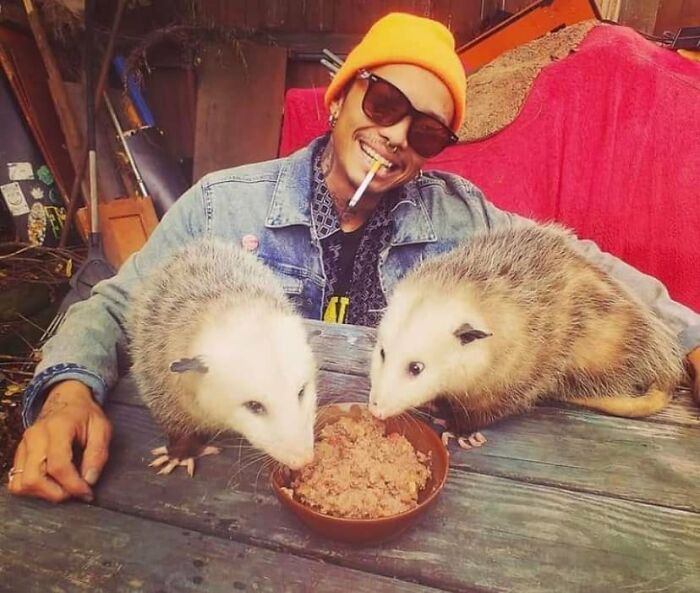 Humanos fazendo coisas humanas (45 Fotos) 34