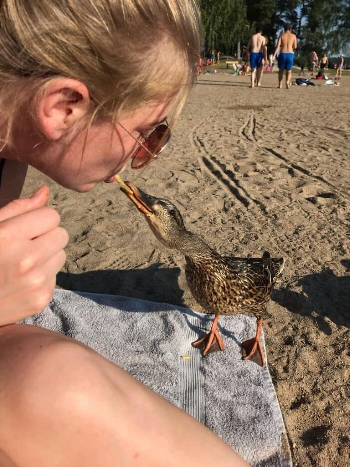 Humanos fazendo coisas humanas (45 Fotos) 45