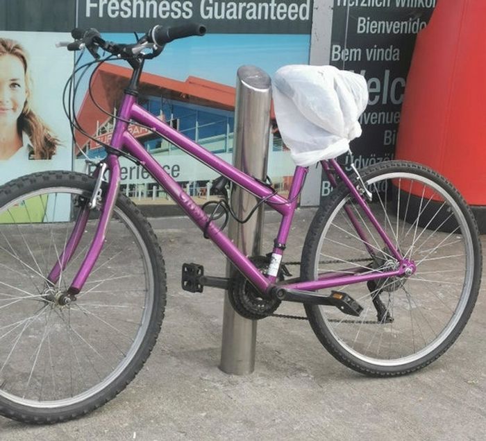 17 pessoas que claramente não pensaram em suas ações até o fim 1