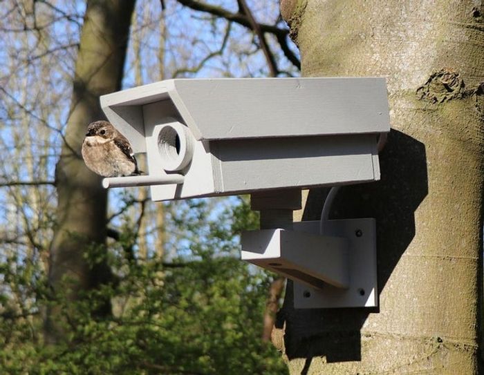 22 pessoas que não conseguiram conter seu talento e criatividade 12