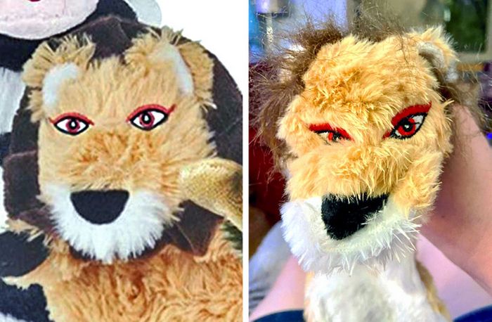 15 pessoas que receberam produtos bem diferentes do anúncio 14