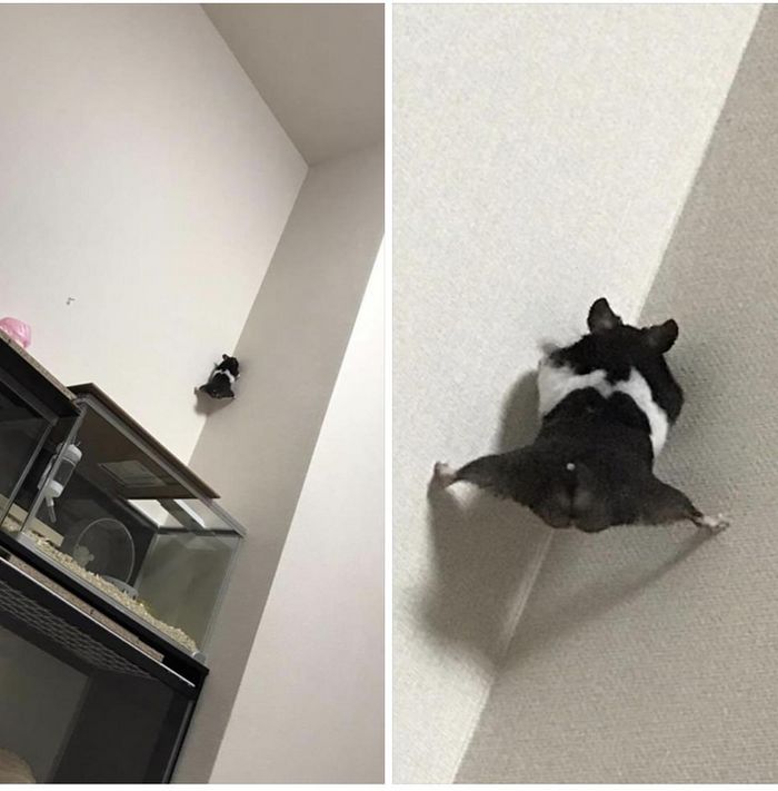 17 vezes em que as pessoas encontraram coisas que precisam de algumas respostas 1