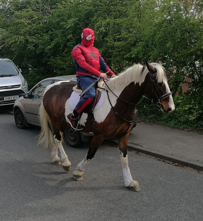 17 vezes em que as pessoas encontraram coisas que precisam de algumas respostas 3