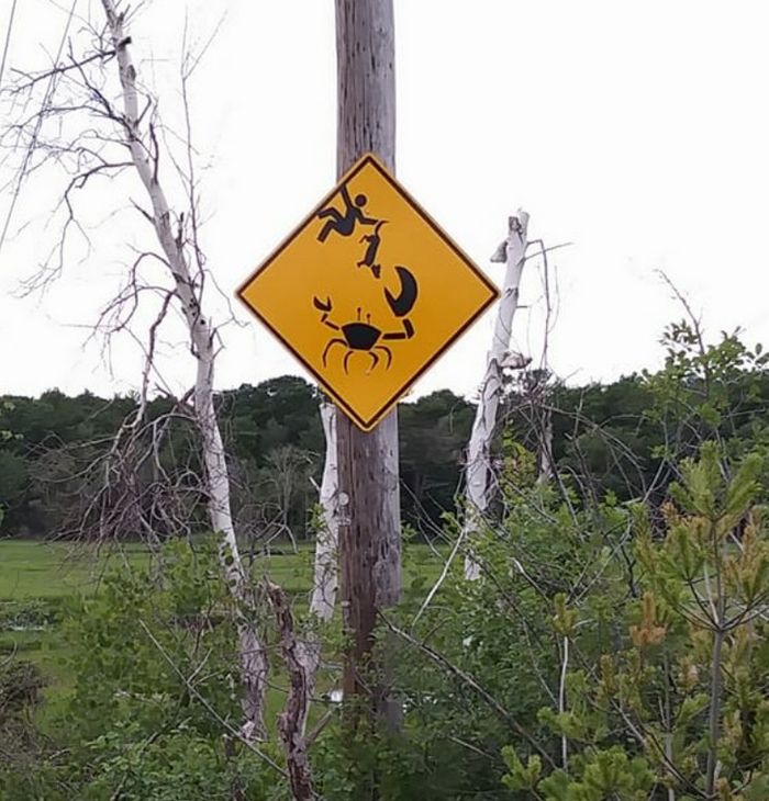 17 vezes em que as pessoas encontraram coisas que precisam de algumas respostas 4