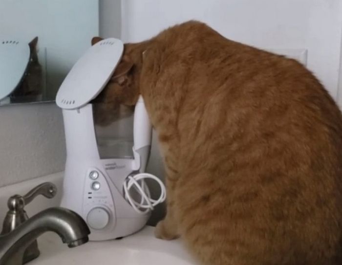 17 vezes em que as pessoas encontraram coisas que precisam de algumas respostas 7