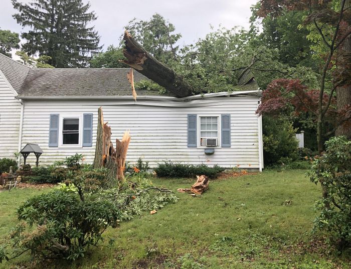 15 vezes que nós e a natureza tínhamos planos muito diferentes para o dia 14