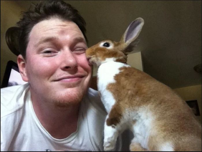 18 vínculos entre humanos e animais de estimação que aumentarão sua dose diária de serotonina 3