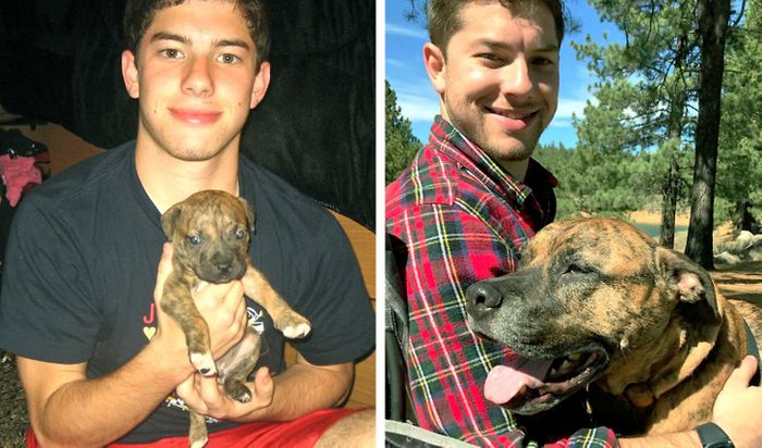 18 vínculos entre humanos e animais de estimação que aumentarão sua dose diária de serotonina 4