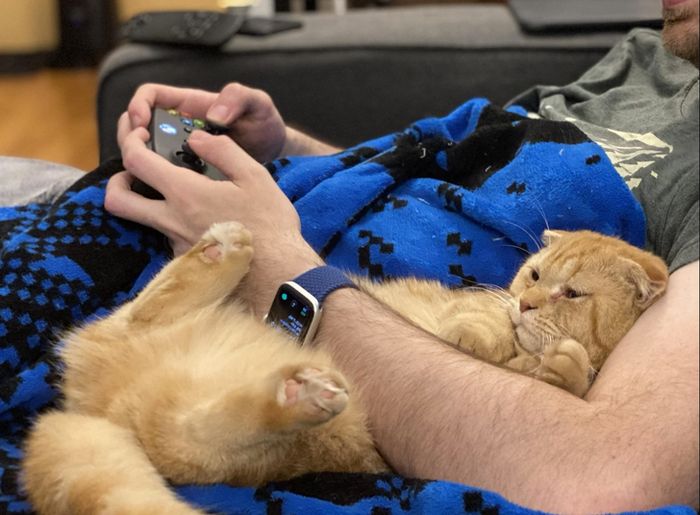 18 vínculos entre humanos e animais de estimação que aumentarão sua dose diária de serotonina 5