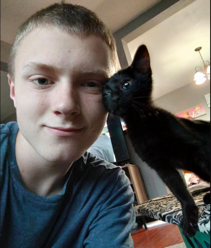 18 vínculos entre humanos e animais de estimação que aumentarão sua dose diária de serotonina 6