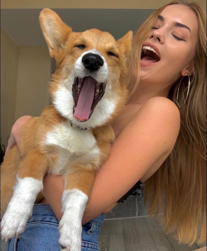 18 vínculos entre humanos e animais de estimação que aumentarão sua dose diária de serotonina 7