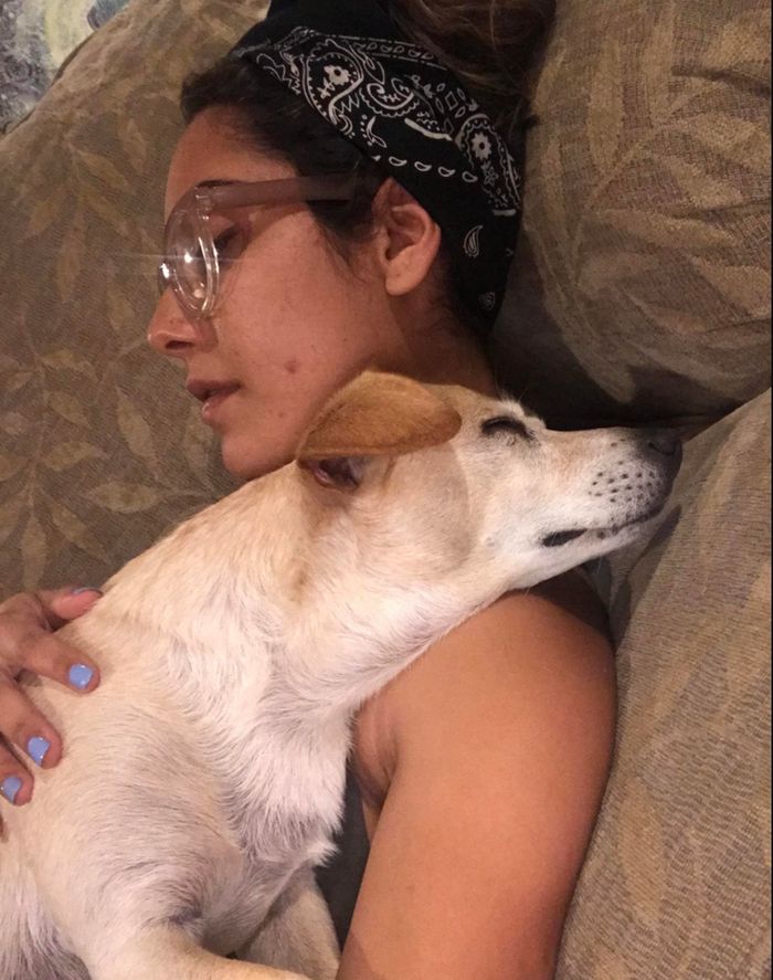 18 vínculos entre humanos e animais de estimação que aumentarão sua dose diária de serotonina 11