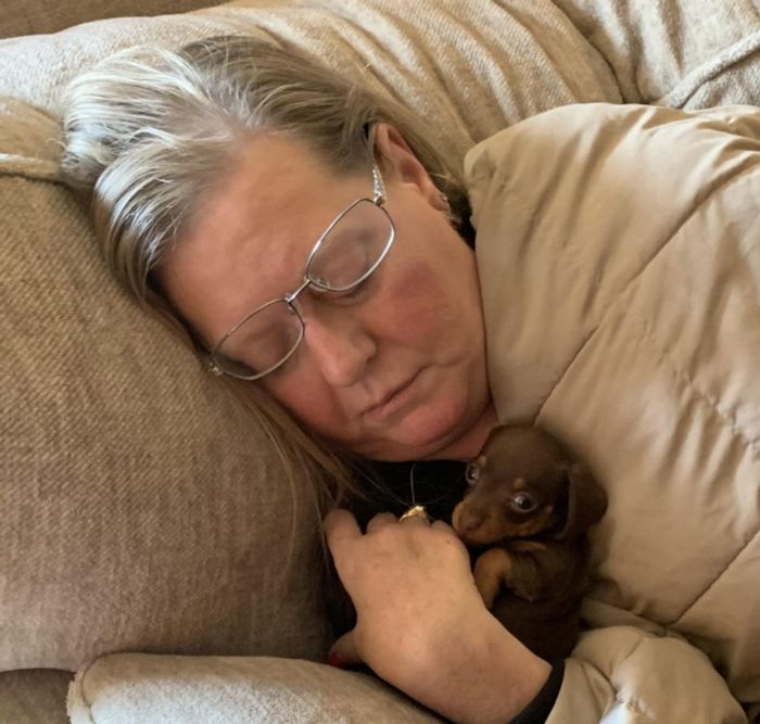 18 vínculos entre humanos e animais de estimação que aumentarão sua dose diária de serotonina 14