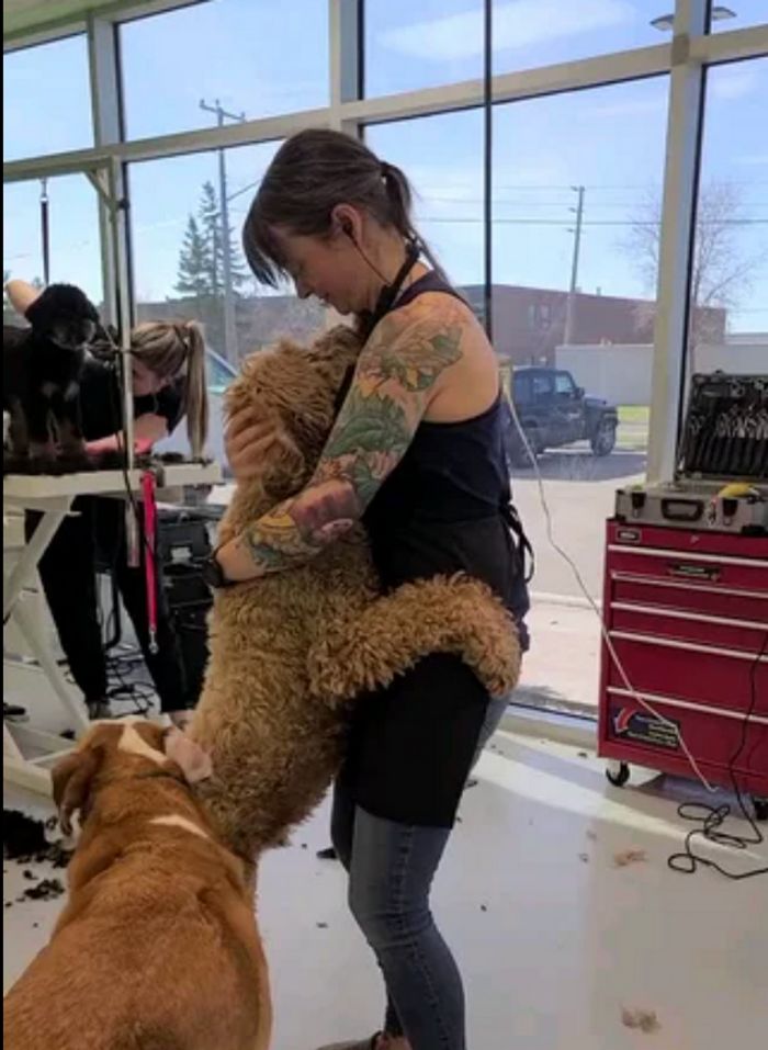 18 vínculos entre humanos e animais de estimação que aumentarão sua dose diária de serotonina 16