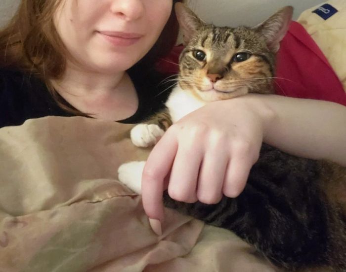 18 vínculos entre humanos e animais de estimação que aumentarão sua dose diária de serotonina 17