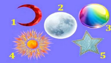 Você é uma pessoa extrovertido ou introvertido? Faça o teste e descubra! 8