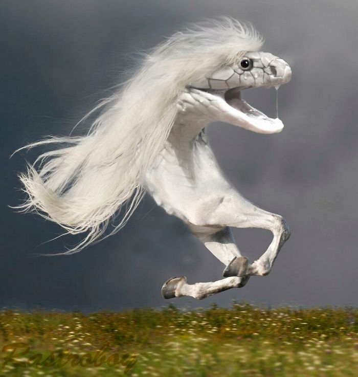 40 animais híbridos criados pelas pessoas da internet 9