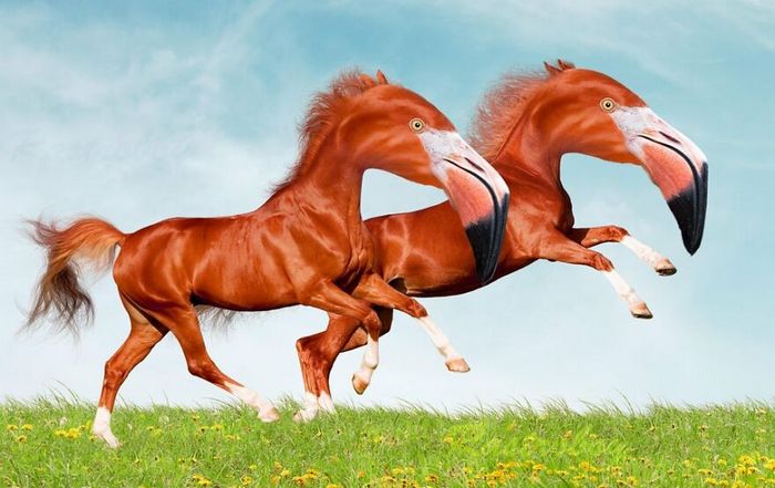 40 animais híbridos criados pelas pessoas da internet 36