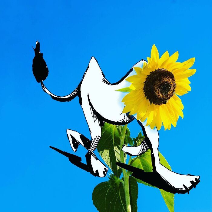 Artista de Praga desenha ilustrações interativas usando objetos do dia a dia (42 fotos) 25