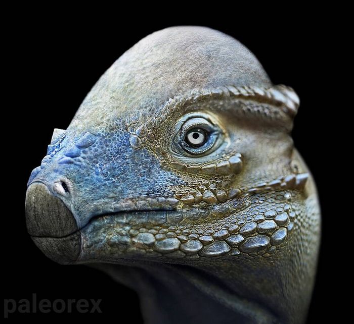 Artista mostra como esses animais extintos poderiam ser na vida real em suas 30 ilustrações 7