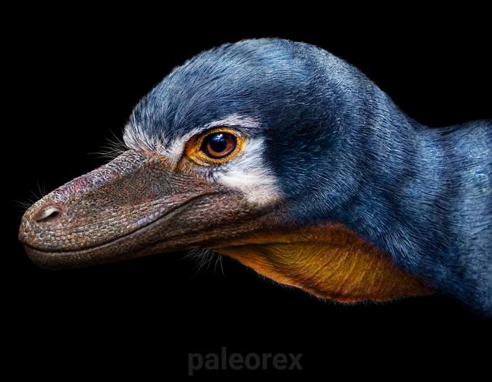 Artista mostra como esses animais extintos poderiam ser na vida real em suas 30 ilustrações 14