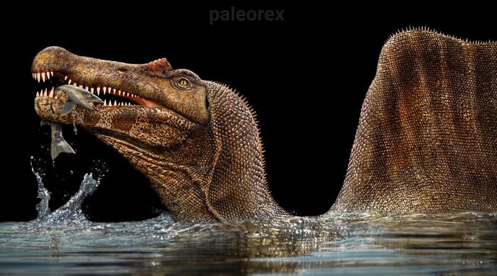 Artista mostra como esses animais extintos poderiam ser na vida real em suas 30 ilustrações 21