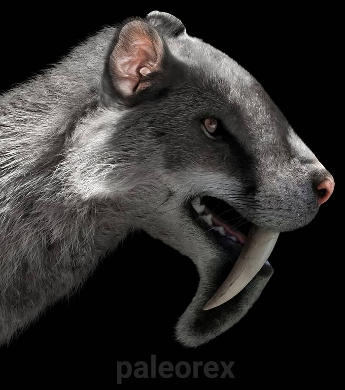 Artista mostra como esses animais extintos poderiam ser na vida real em suas 30 ilustrações 23