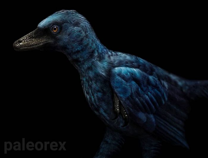 Artista mostra como esses animais extintos poderiam ser na vida real em suas 30 ilustrações 25