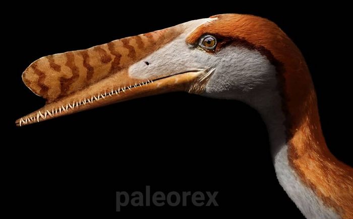 Artista mostra como esses animais extintos poderiam ser na vida real em suas 30 ilustrações 30