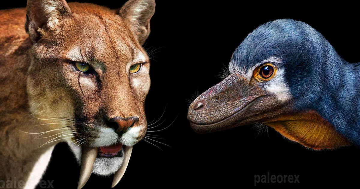 Artista mostra como esses animais extintos poderiam ser na vida real em suas 30 ilustrações