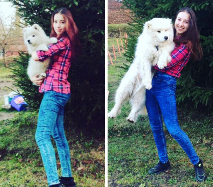 17 bichinhos que era pequenos e agora são grandes 1