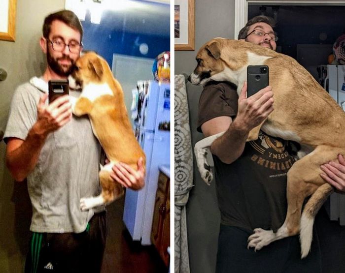 17 bichinhos que era pequenos e agora são grandes 13