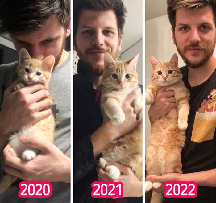 17 bichinhos que era pequenos e agora são grandes 17