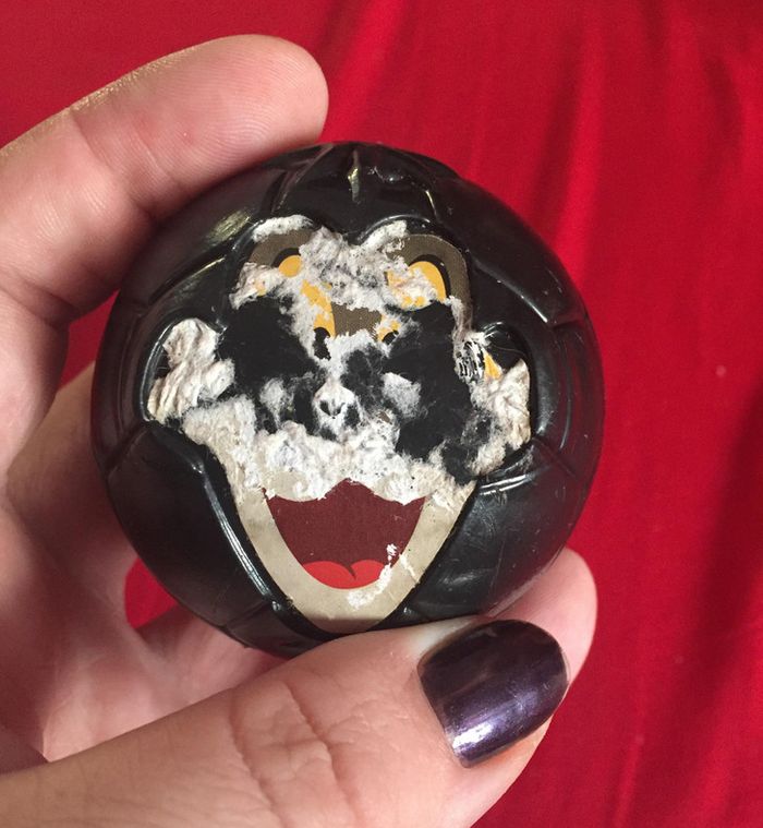 18 brinquedos que são estranhos, se você por eles no fundo do armário ninguém vai lembrar deles 14