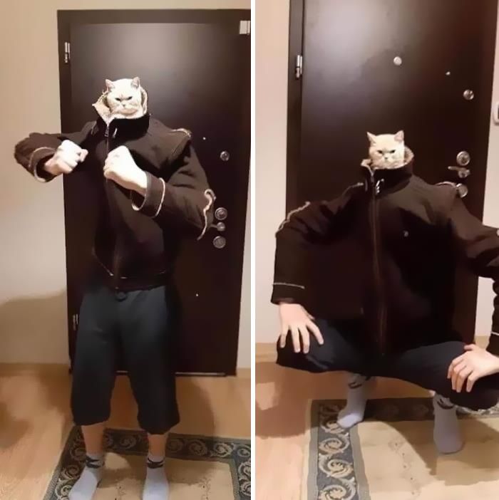 42 fotos de animais que são impossíveis de explicar 27