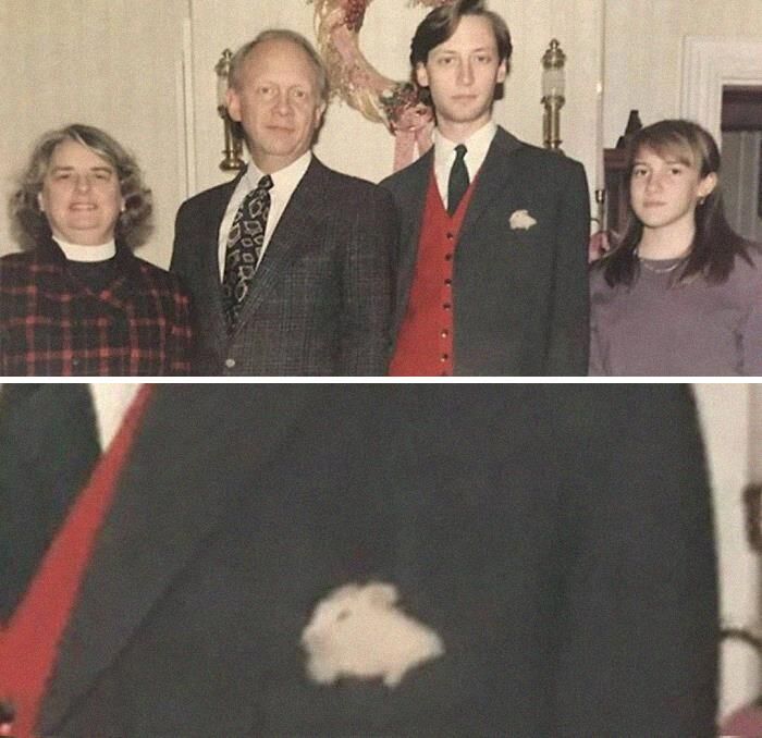 42 fotos de animais que são impossíveis de explicar 28