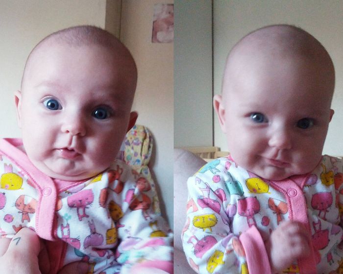 21 fotos mágicas que podem lançar um feitiço de riso em você 14