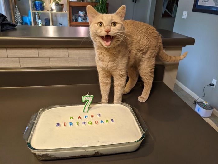 15 fotos que mostram emoções incríveis sem dizer uma palavra 7