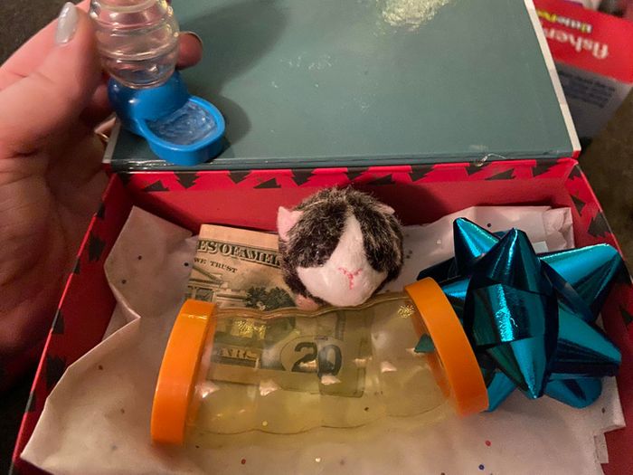 15 fotos que mostram emoções incríveis sem dizer uma palavra 10