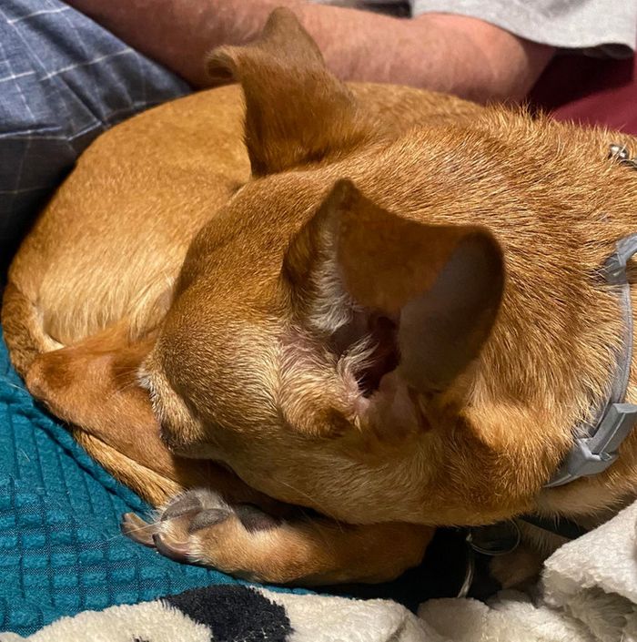 17 fotos que redefiniram o conceito da hora perfeita 4