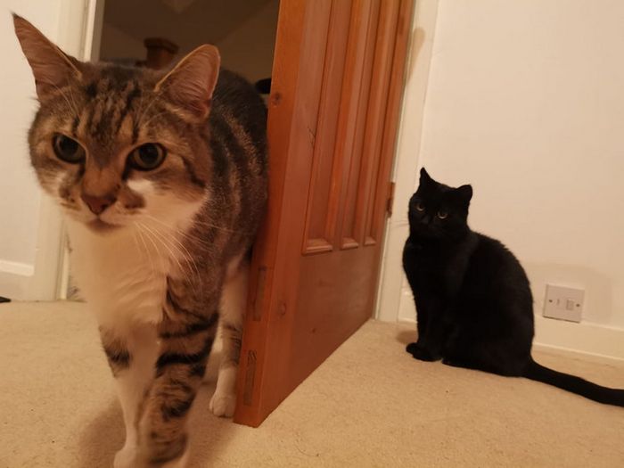 17 fotos que redefiniram o conceito da hora perfeita 5