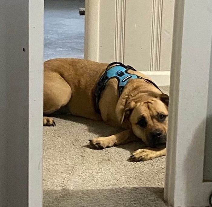 17 fotos que redefiniram o conceito da hora perfeita 12