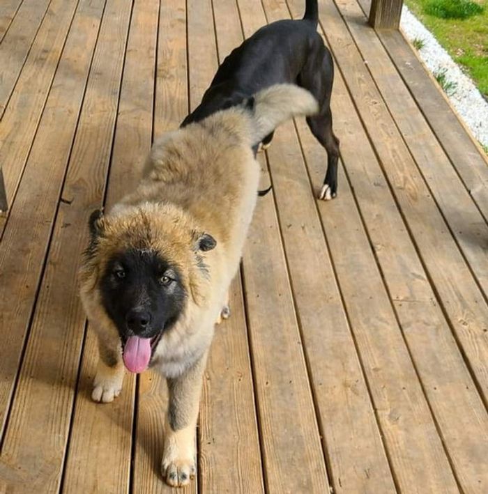 17 fotos que redefiniram o conceito da hora perfeita 14