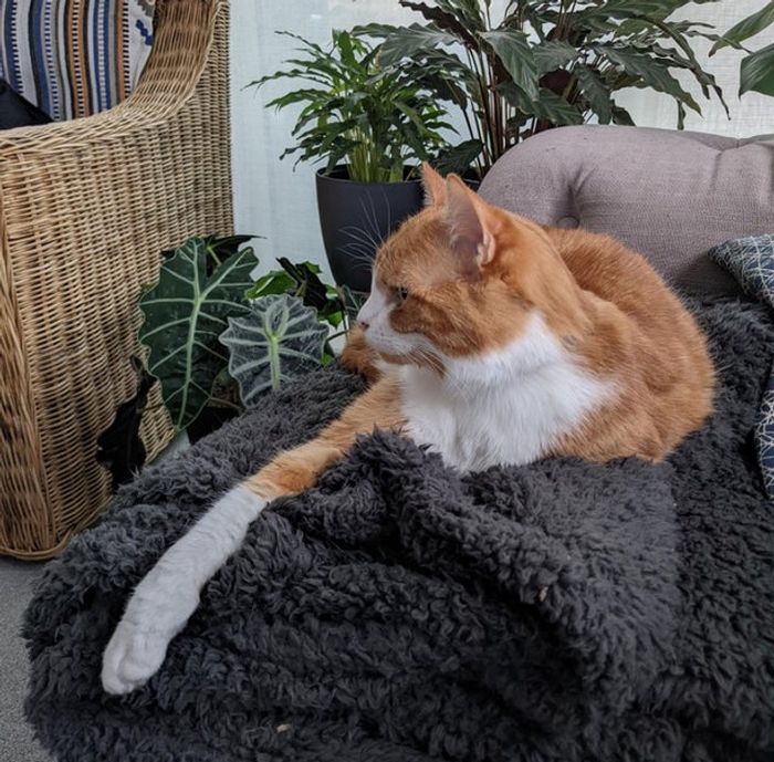 17 fotos que redefiniram o conceito da hora perfeita 16